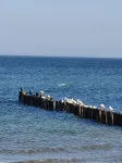 Bright renovated apartment 350m to the beach