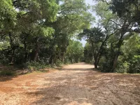 Pure Relaxation: heated pool, beach, cabana & more