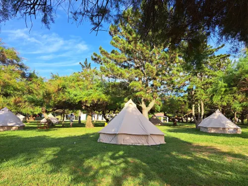 Bearsu Nature Almoxarife - Wifi