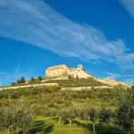 بورتيكا هومز آسيسي