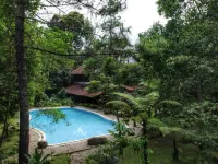 Imah Seniman Hotel - romantis