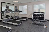 Holiday Inn Express & Suites HOUSTON NW - TOMBALL AREA by IHG - Gym