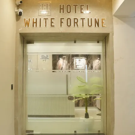 Hotel White Fortune Отели в г. Банаскантха