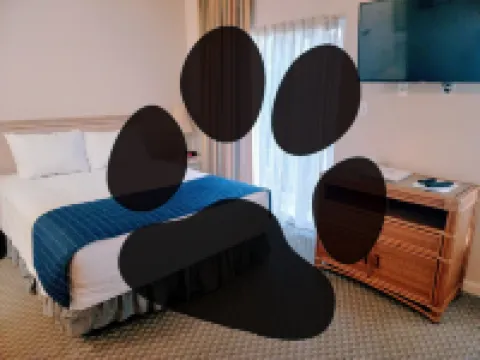 Beaufort Harbour Suites and Lodges Hotels in Beaufort