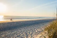 Spacious Apartment with Terrace in Rosolina Mare Hotels near Bagno Tamerici Dog