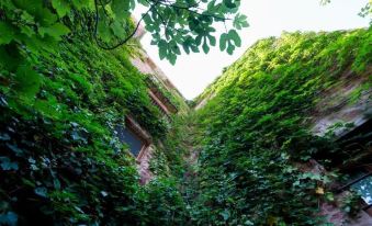 El Jardín Vertical