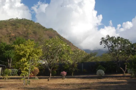 Star East Bungalows Hotels near Amed Buddha Diving