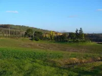 Farmhouse Living Amidst Vineyards