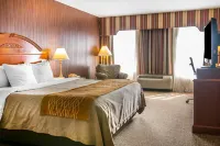 Comfort Inn Hotel a Grass Lake Charter Township