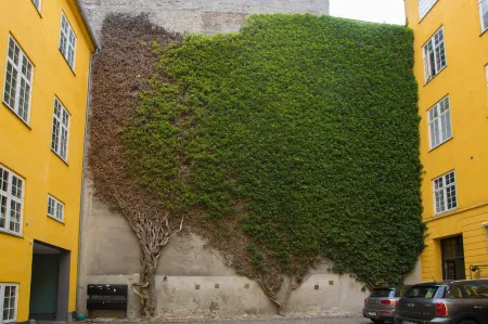 The Churchill 4 by Daniel&Jacob's Отели рядом с достопримечательностью «Русалочка»