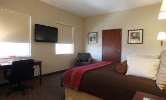 WinnaVegas Casino & Resort