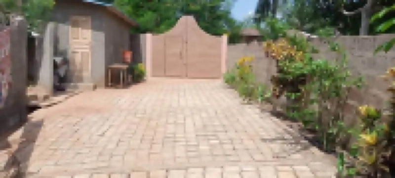 Organic Hostel Green Nature Hôtels à : 