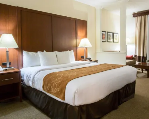 Comfort Suites Cumming-Atlanta Near Northside Hospital Forsyth Hotels in Forsyth County