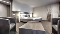 Volcano Spa Hotel Hotels in Dobrichovice