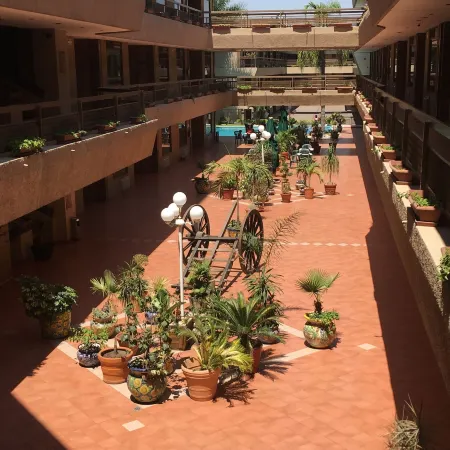 Best Western Plus Plaza Florida  Tower