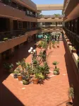 Best Western Plus Plaza Florida  Tower