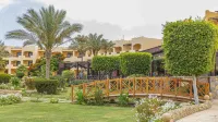 Blend Elphistone Resort Marsa Alam Hotels near Eagle Safari