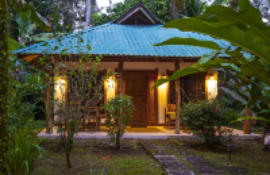 鳥巢叢林小屋 酒店