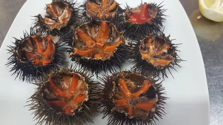 Hotel Palatinum Отели рядом с достопримечательностью «Golf Club Metaponto»