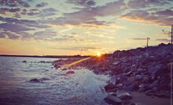 Haven Montauk