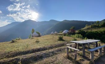 Glamping Tago