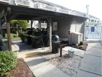 Spacious Modern Condo - 1st Floor - One Block to the Beach