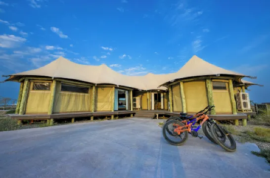 沙迦精選翠鳥度假屋遊獵營地