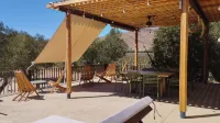 Alma Liebre Viñedos del Valle