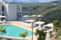 Delfim Douro Hotel - Pools