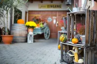 Weinhotel / Gasthaus Zur Sonne Hotels in Botzingen