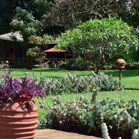 Ameg Lodge Kilimanjaro