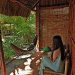 Phuc Sinh Homestay Hotels near Thiên Toà Hoàng Đạo - Giáo hội Cao Đài Việt Nam