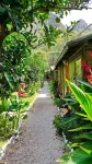 Olympos Tatilya Pansiyon