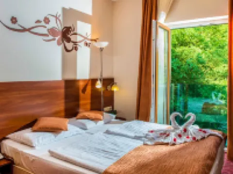 帕塔克公園酒店 維謝格拉德酒店