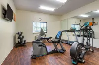 Comfort Inn & Suites Barnesville - Frackville - Gym