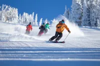 Anemone Townhome 3 Bed 3 Bath Hotels in Silverthorne