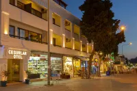 Cesurlar Hotel