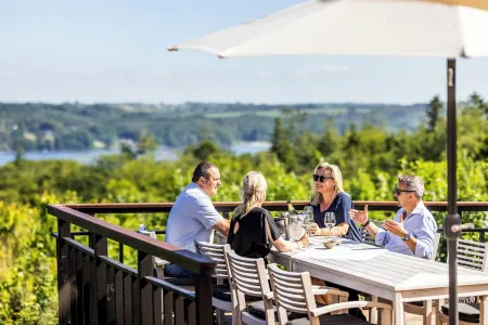 Munkebjerg Hotel Отели рядом со станцией Vejle