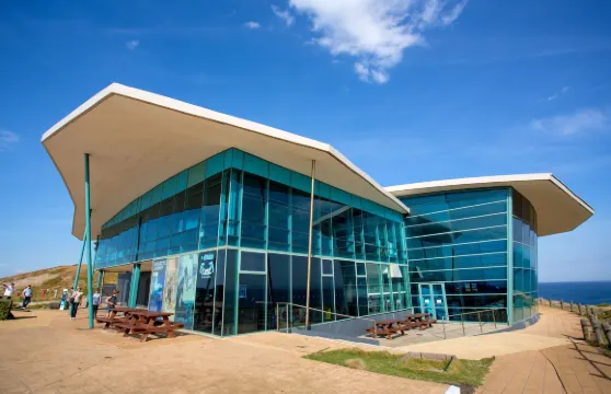 菲利普島 BIG4 英吉尼亞假日度假園區