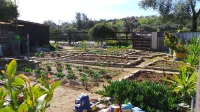 Centre Algarve