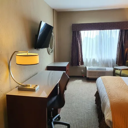 Hotel San Francisco Leon