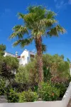 Camel's Spring Club - con vista mare