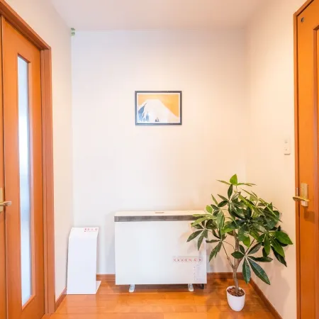 Ezo Fujiya Niseko House Room
