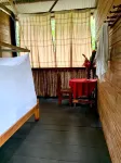 amazonian oropendola tambopata Hotel di Tambopata