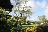 Astral Motel Hotels in Whanganui