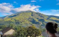 Twin Volcanoes Homestay