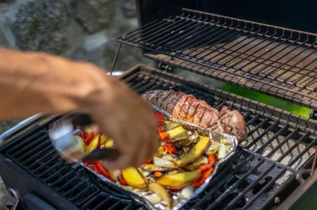 Villa met Sauna Ldd032