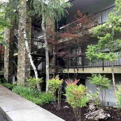 5 Star 3 bd 3ba Serenity Views w Pool Fireplace Hotel Exterior