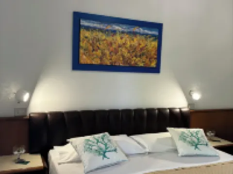 Hotel Astoria Hotels in Pineto
