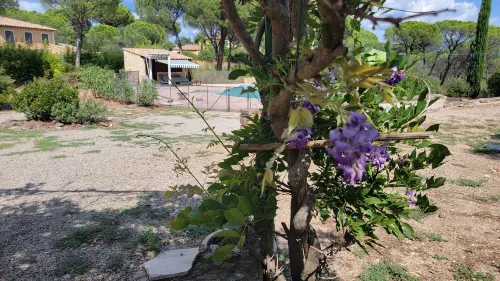 Le Mas du Rouquan